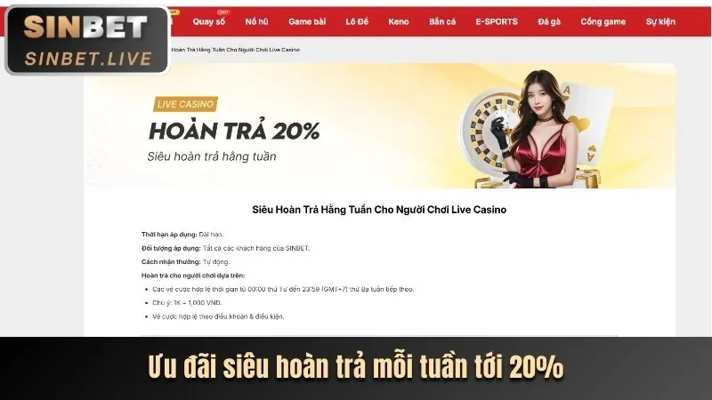 V7BET Latest Promotions Analysis